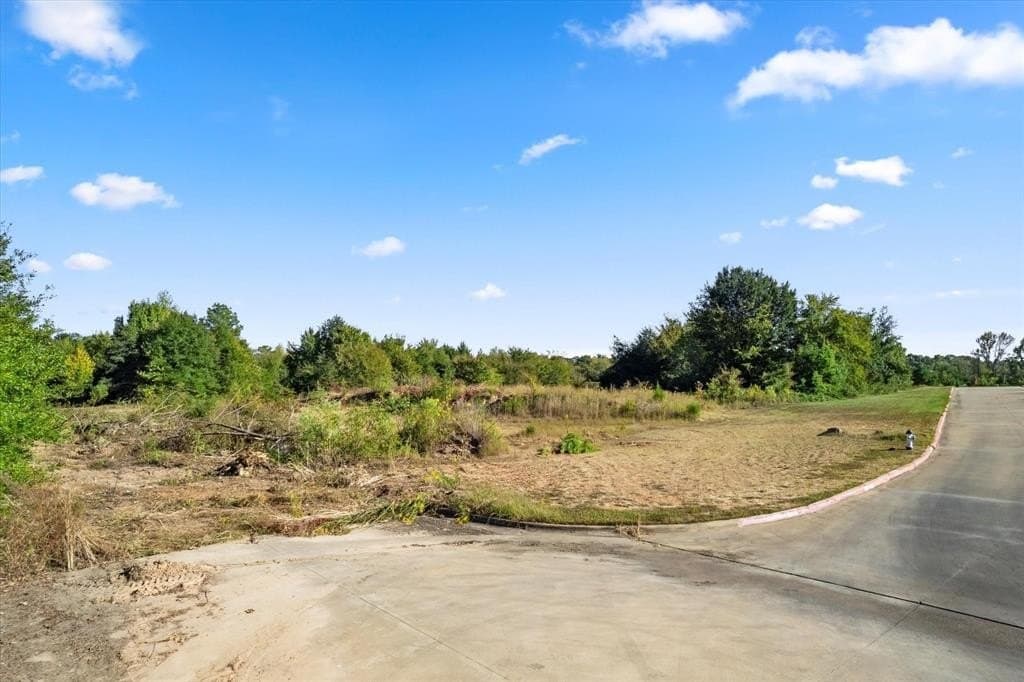 9.65 acres in Titus County - photo 11