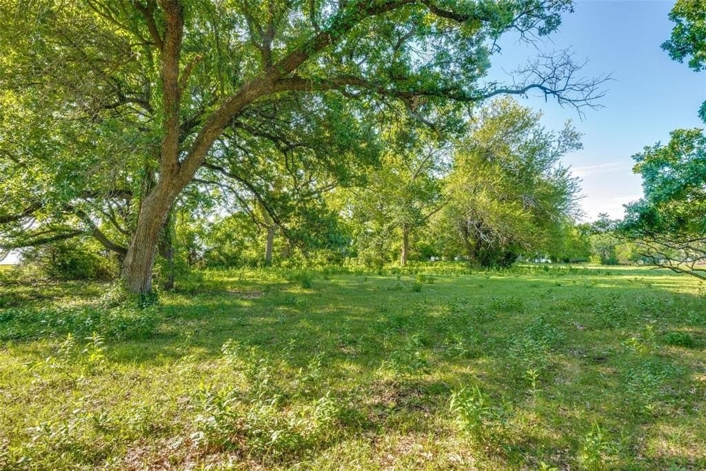 61.89 acres in Grayson County - photo 4