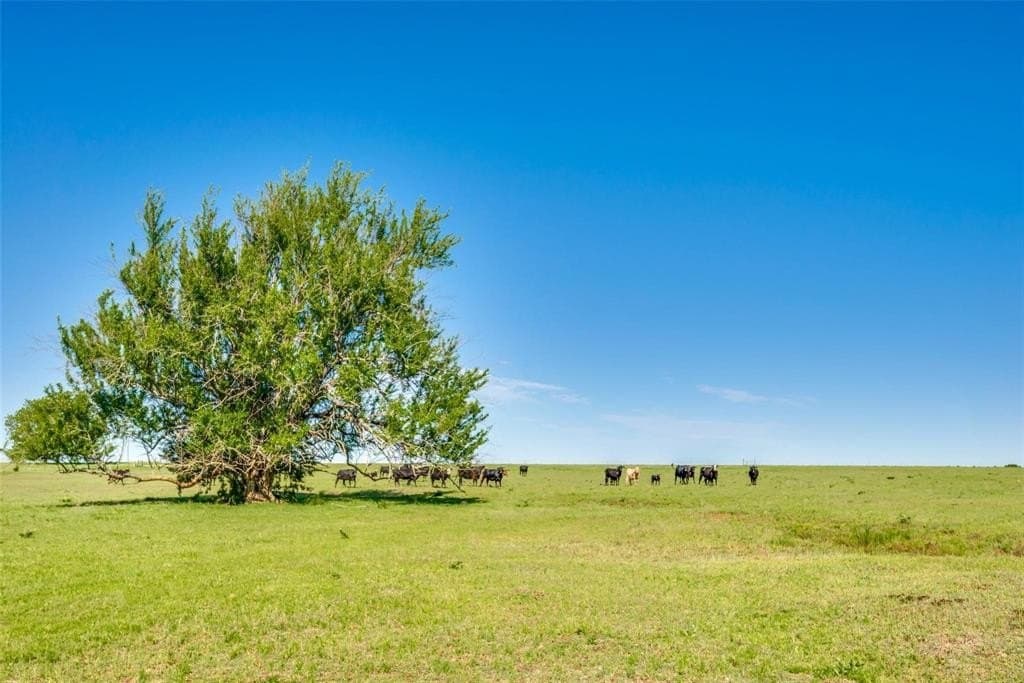 61.89 acres in Grayson County - photo 5