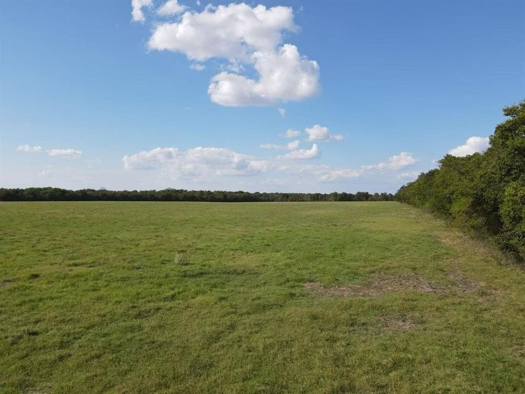 130 acres in Delta County - photo 4