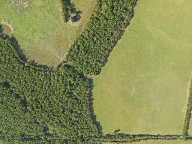 130 acres in Delta County - photo 2