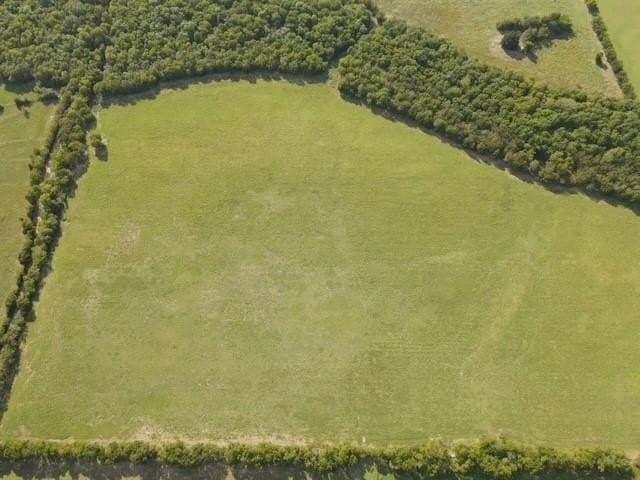 130 acres in Delta County - photo 3