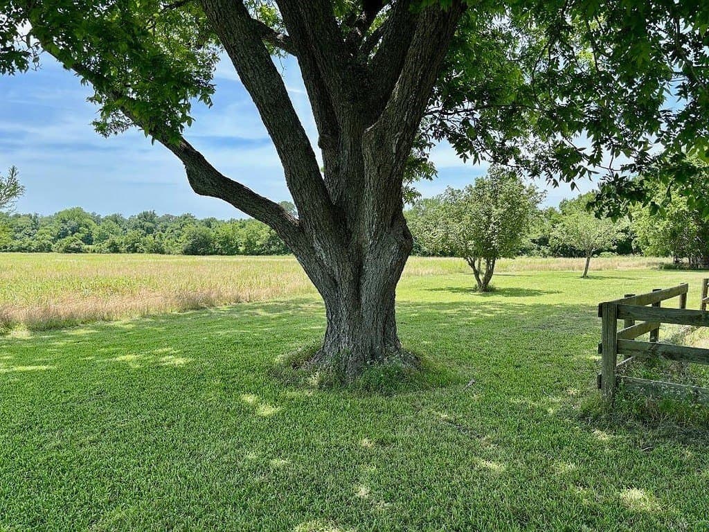 30 acres in Washington County - photo 3