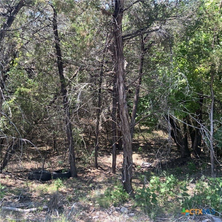 0.33 acres in Bell County - photo 2