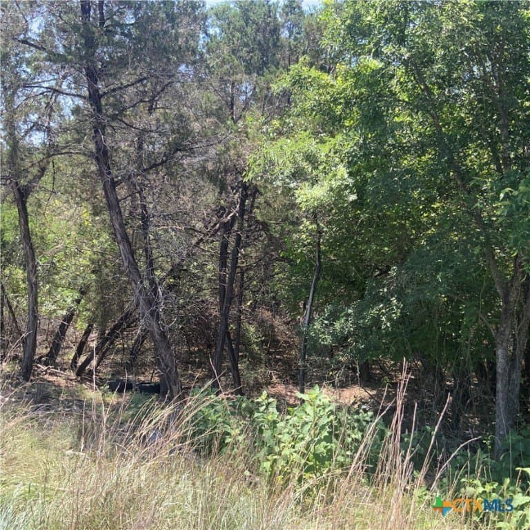 0.33 acres in Bell County - photo 5