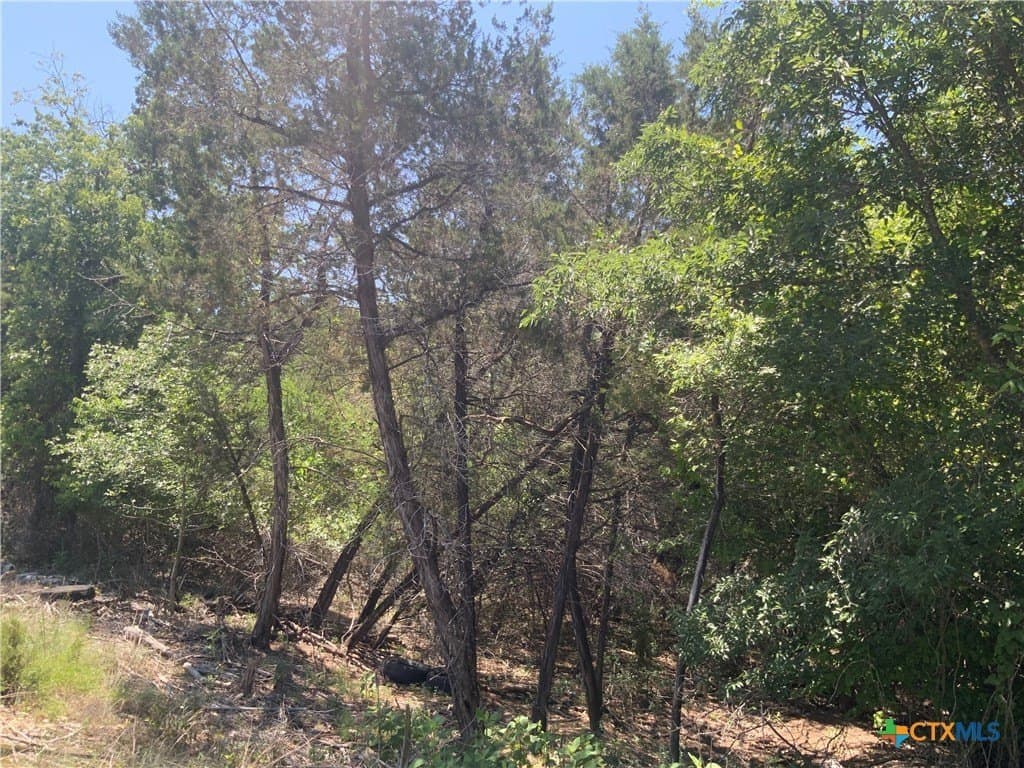 4105 Sherwood Drive lot: 325