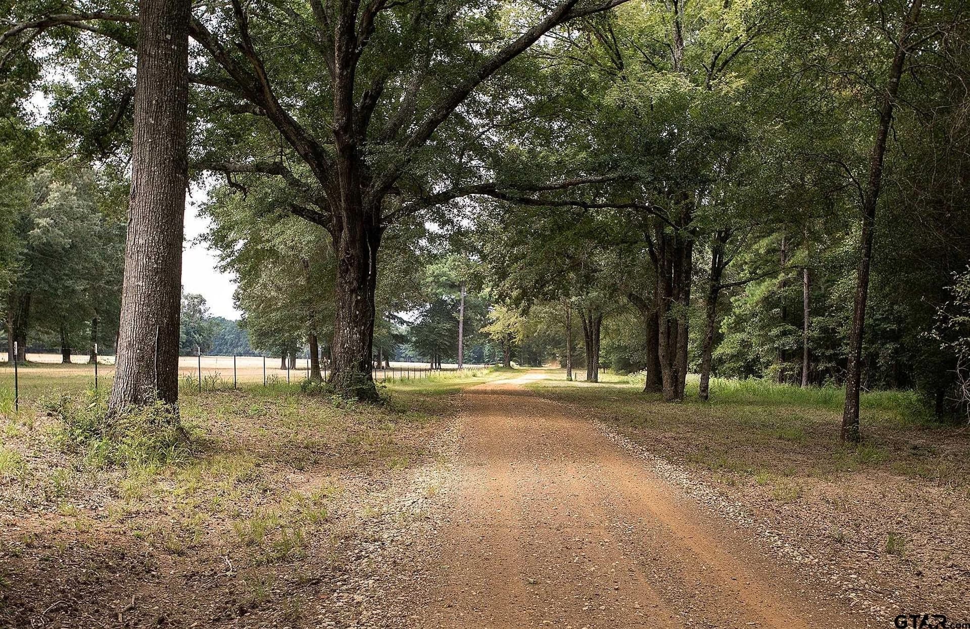 194.05 acres in Anderson County - photo 26
