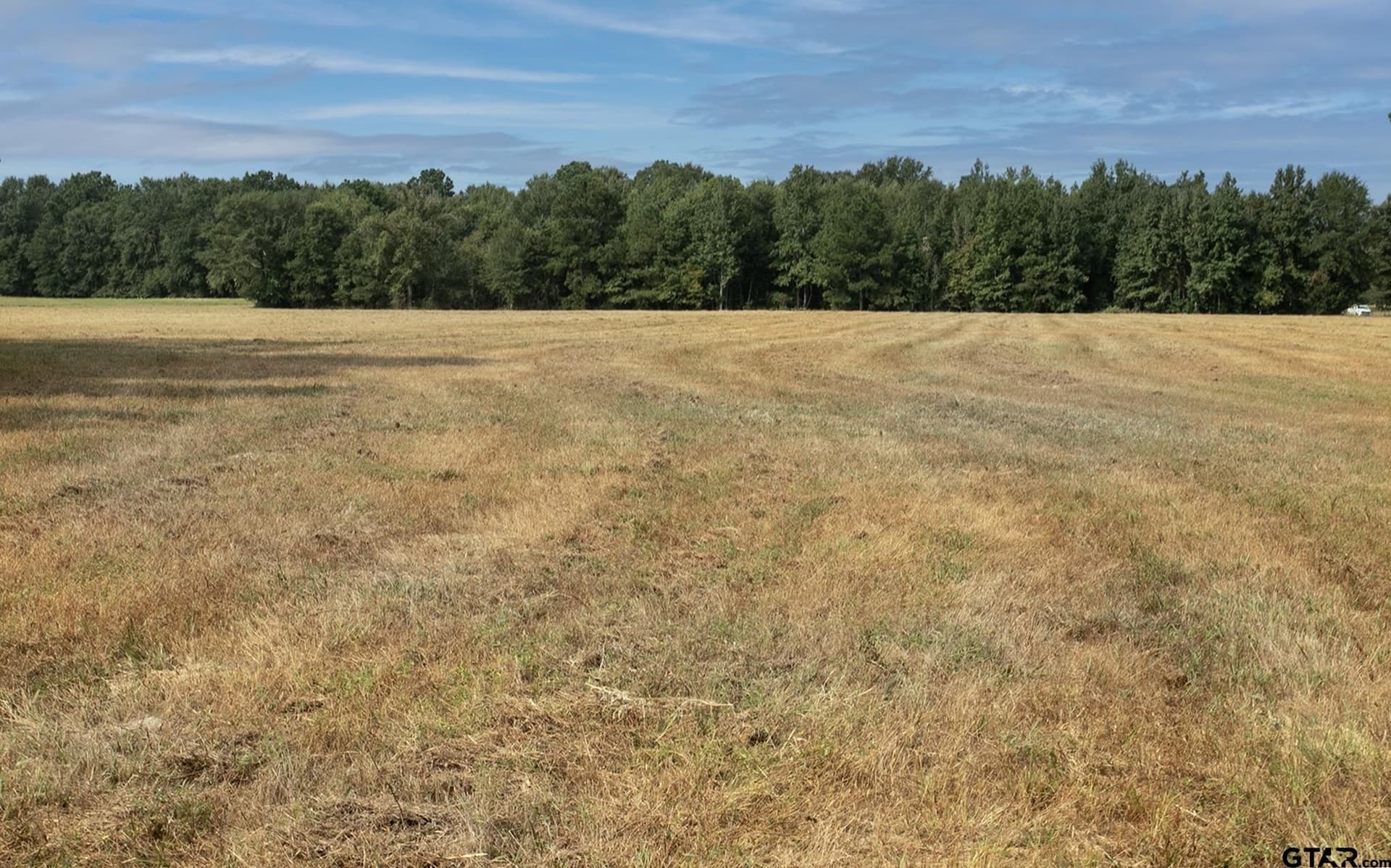 194.05 acres in Anderson County - photo 32