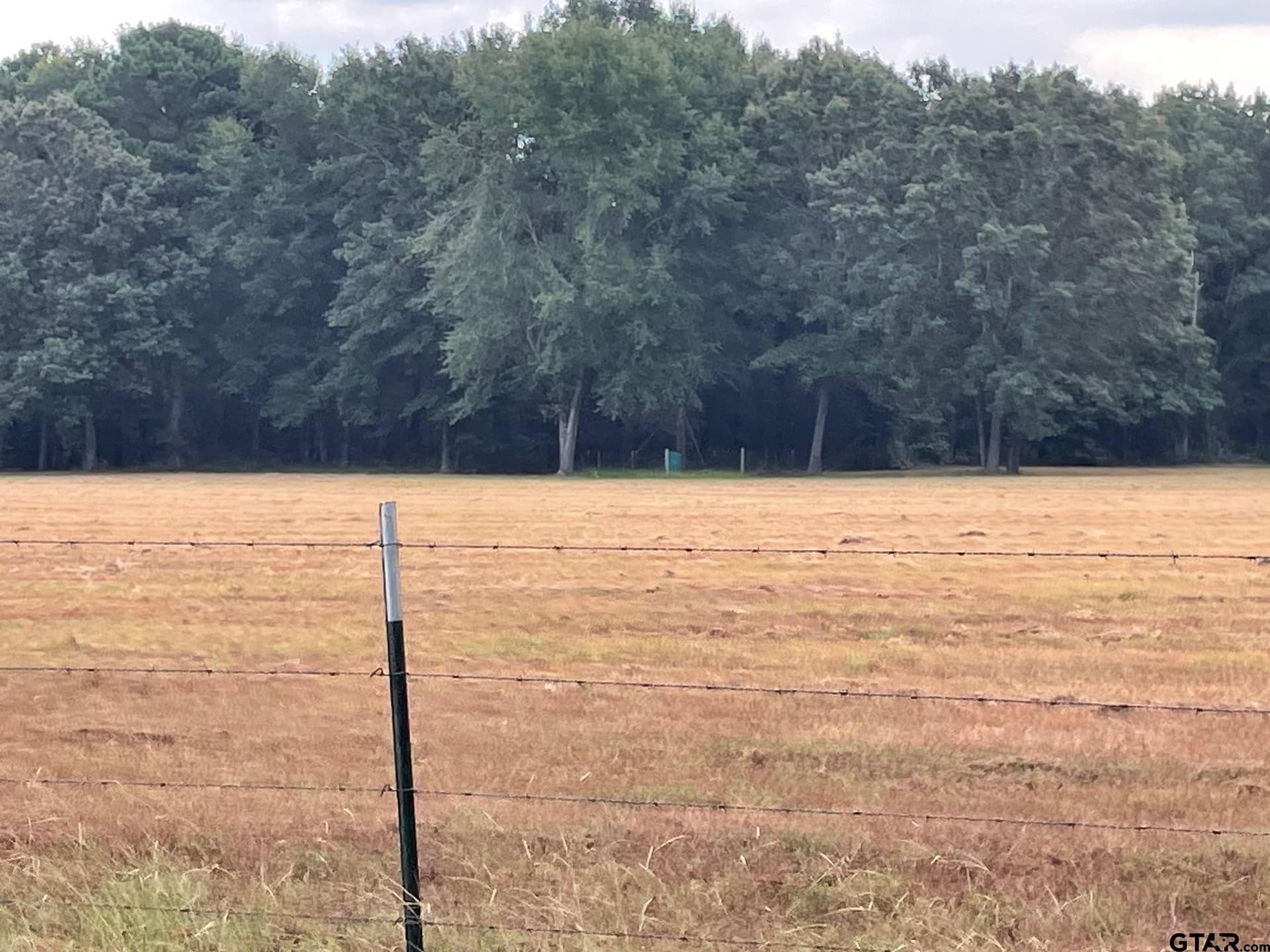 194.05 acres in Anderson County - photo 4