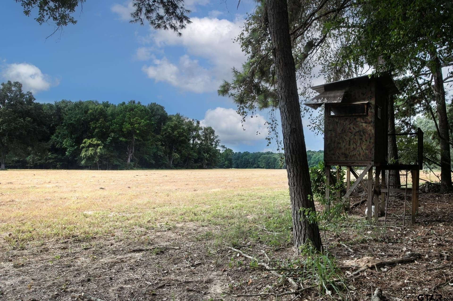 194.05 acres in Anderson County - photo 11