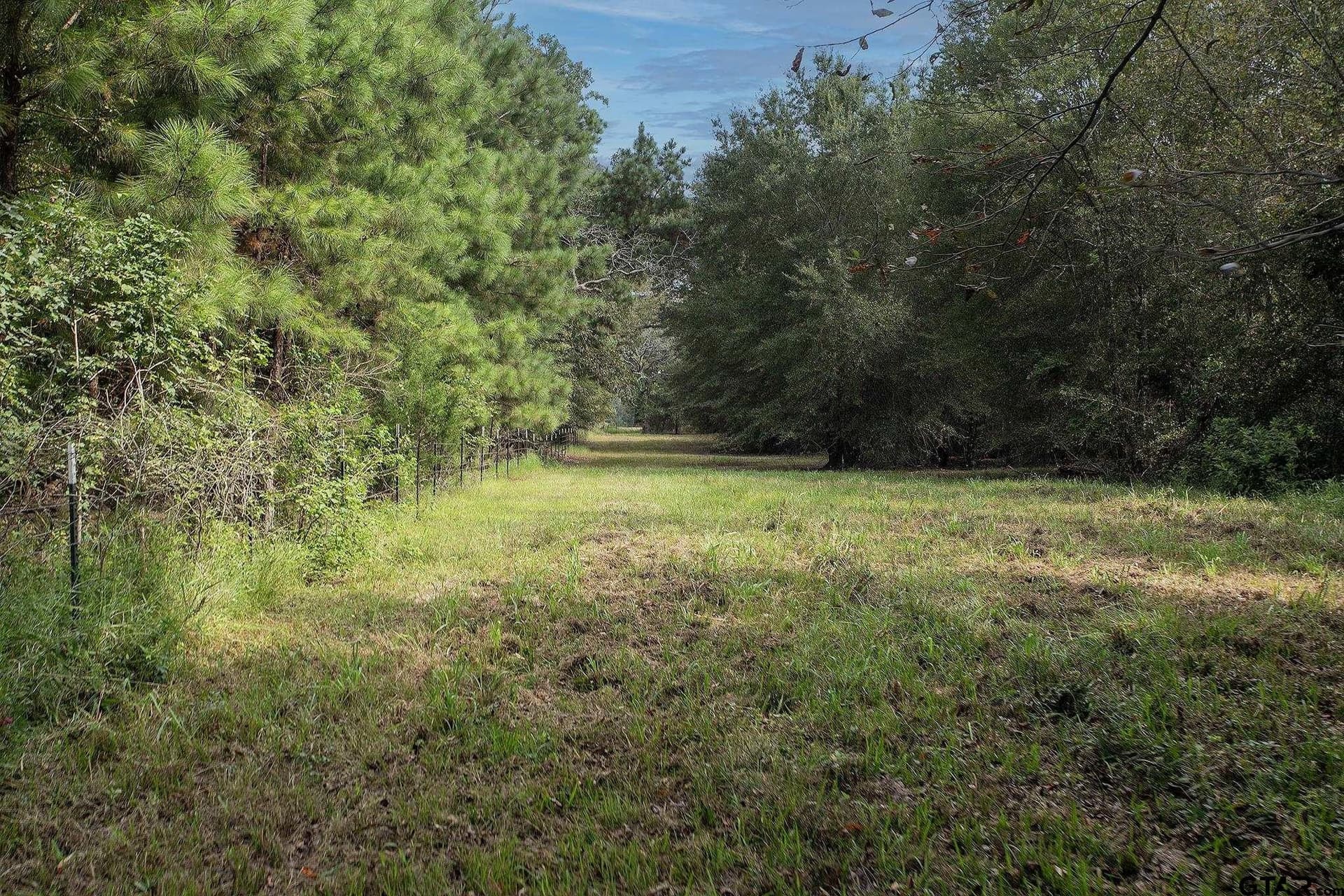 194.05 acres in Anderson County - photo 33