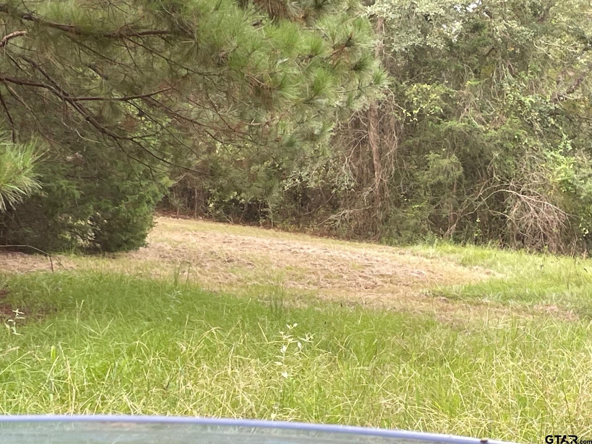 194.05 acres in Anderson County - photo 14
