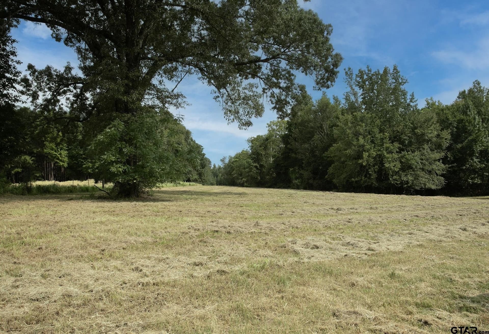 194.05 acres in Anderson County - photo 25