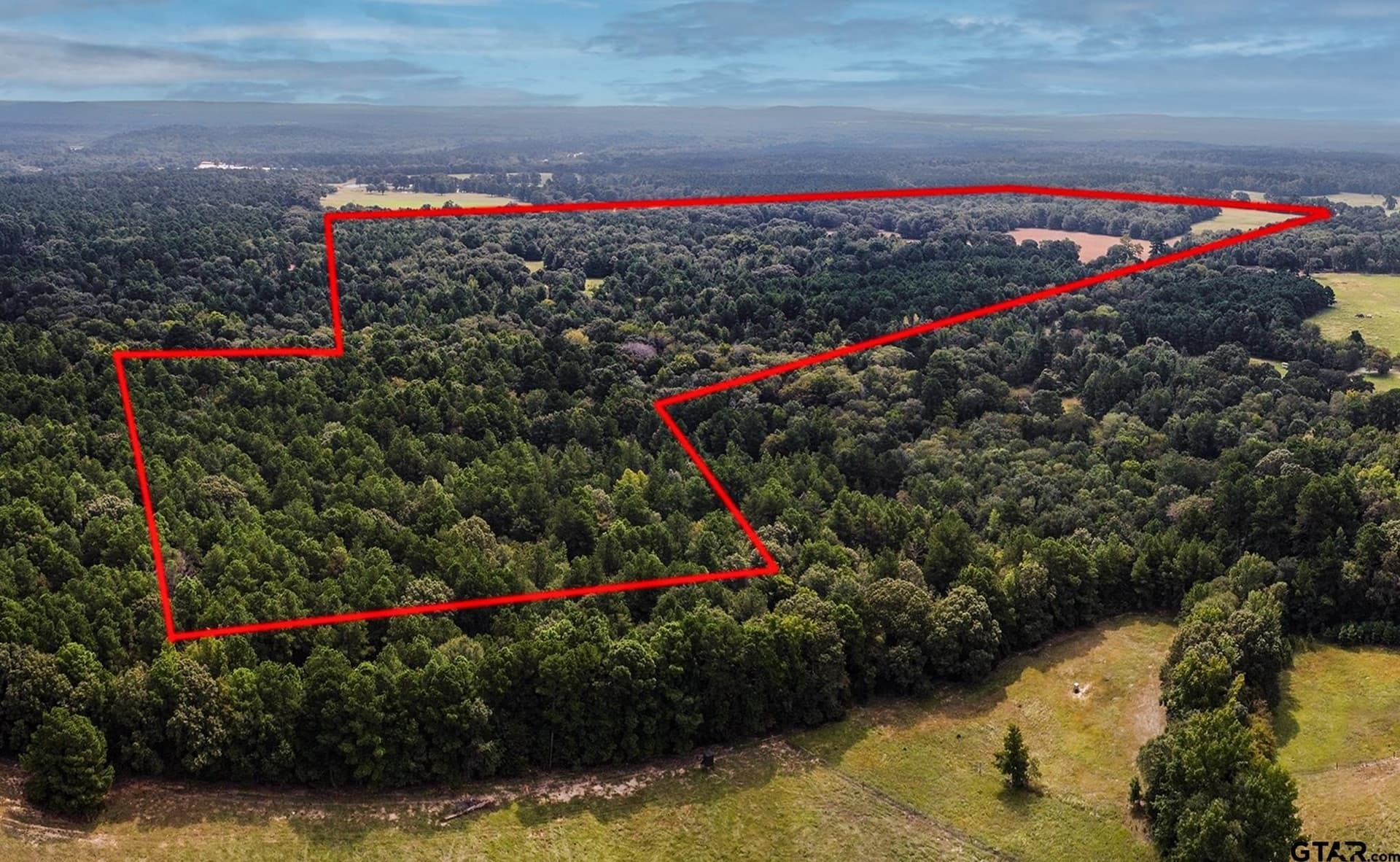 194.05 acres in Anderson County - photo 23