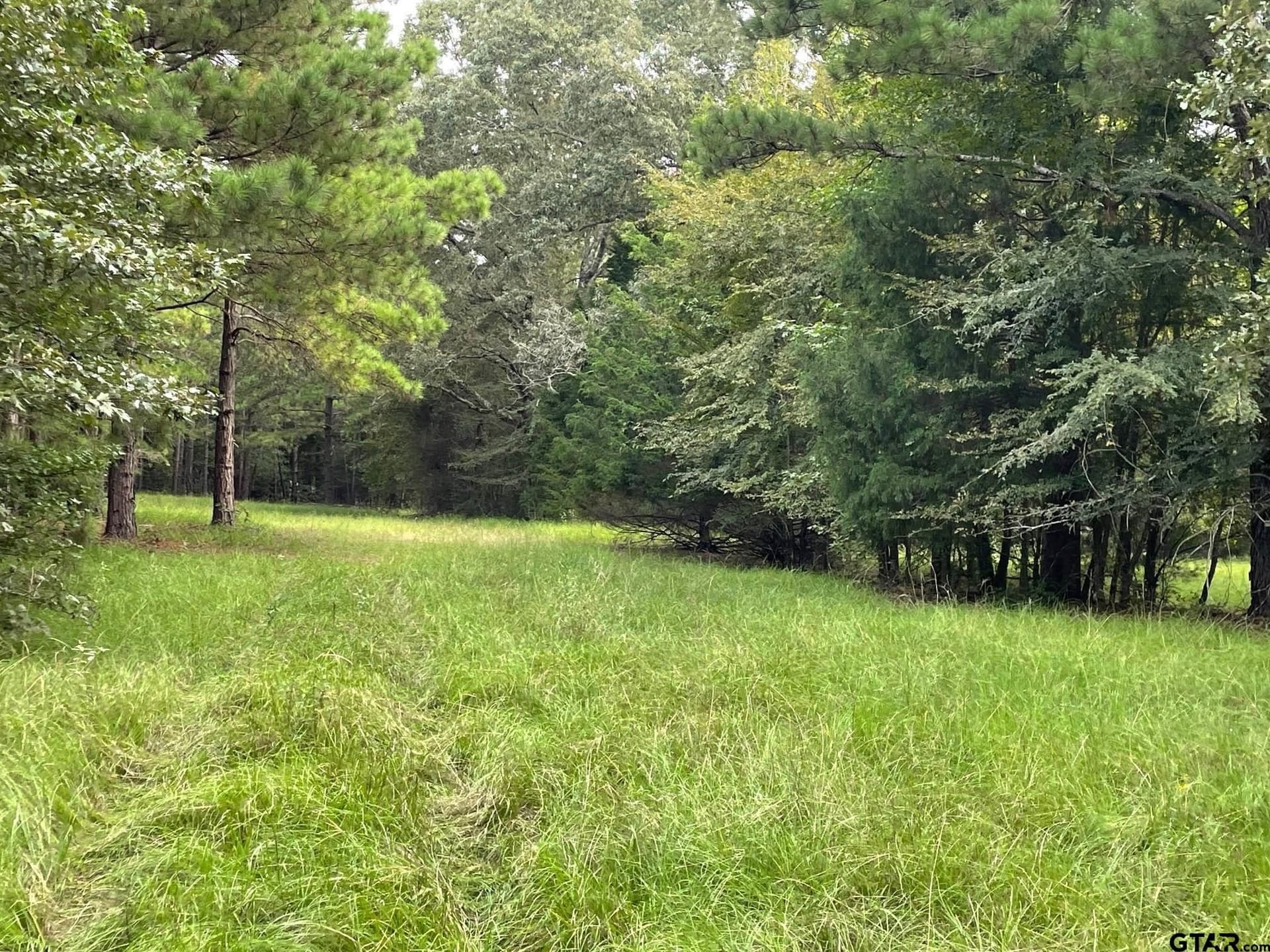 194.05 acres in Anderson County - photo 7