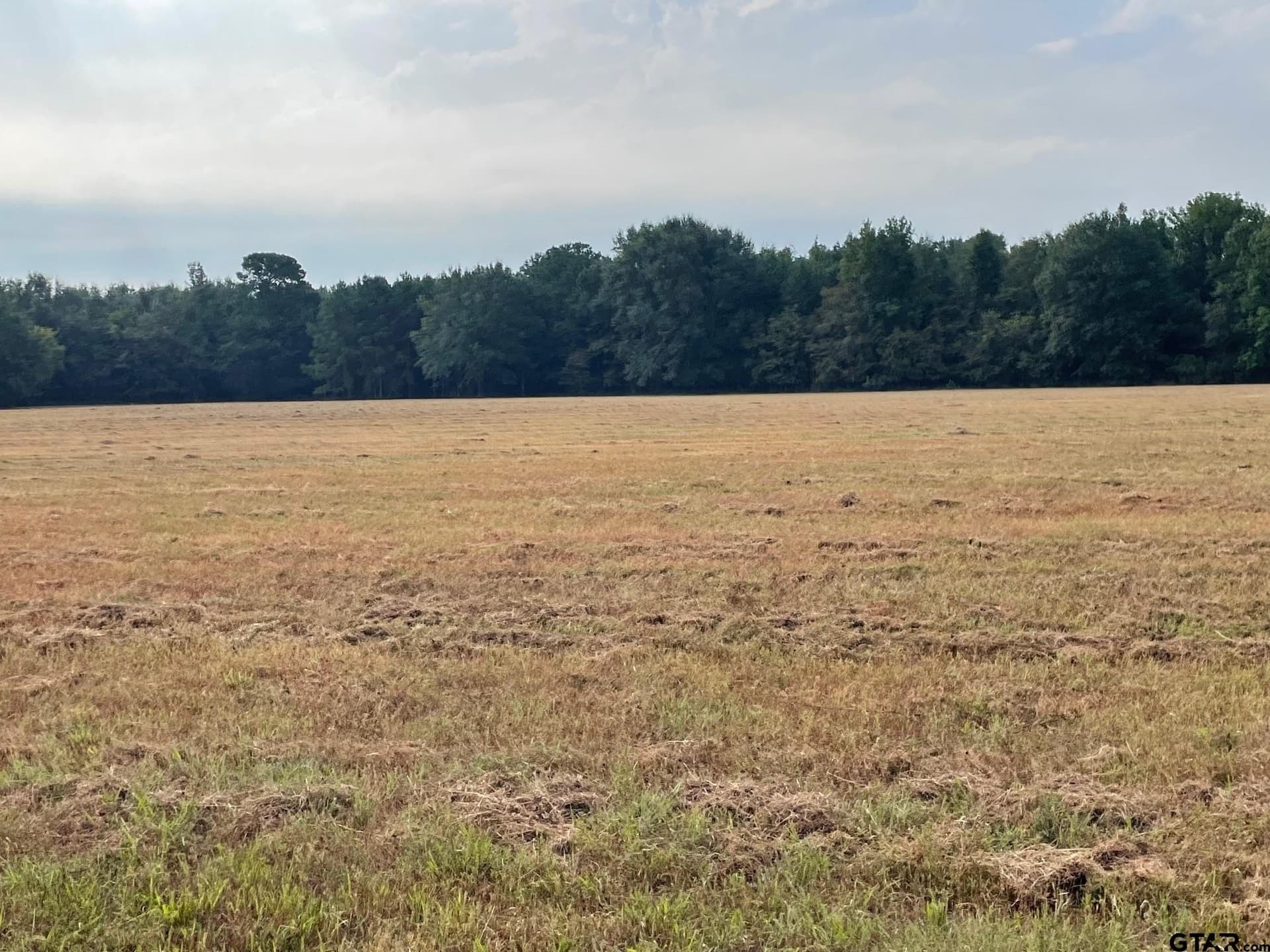 194.05 acres in Anderson County - photo 9