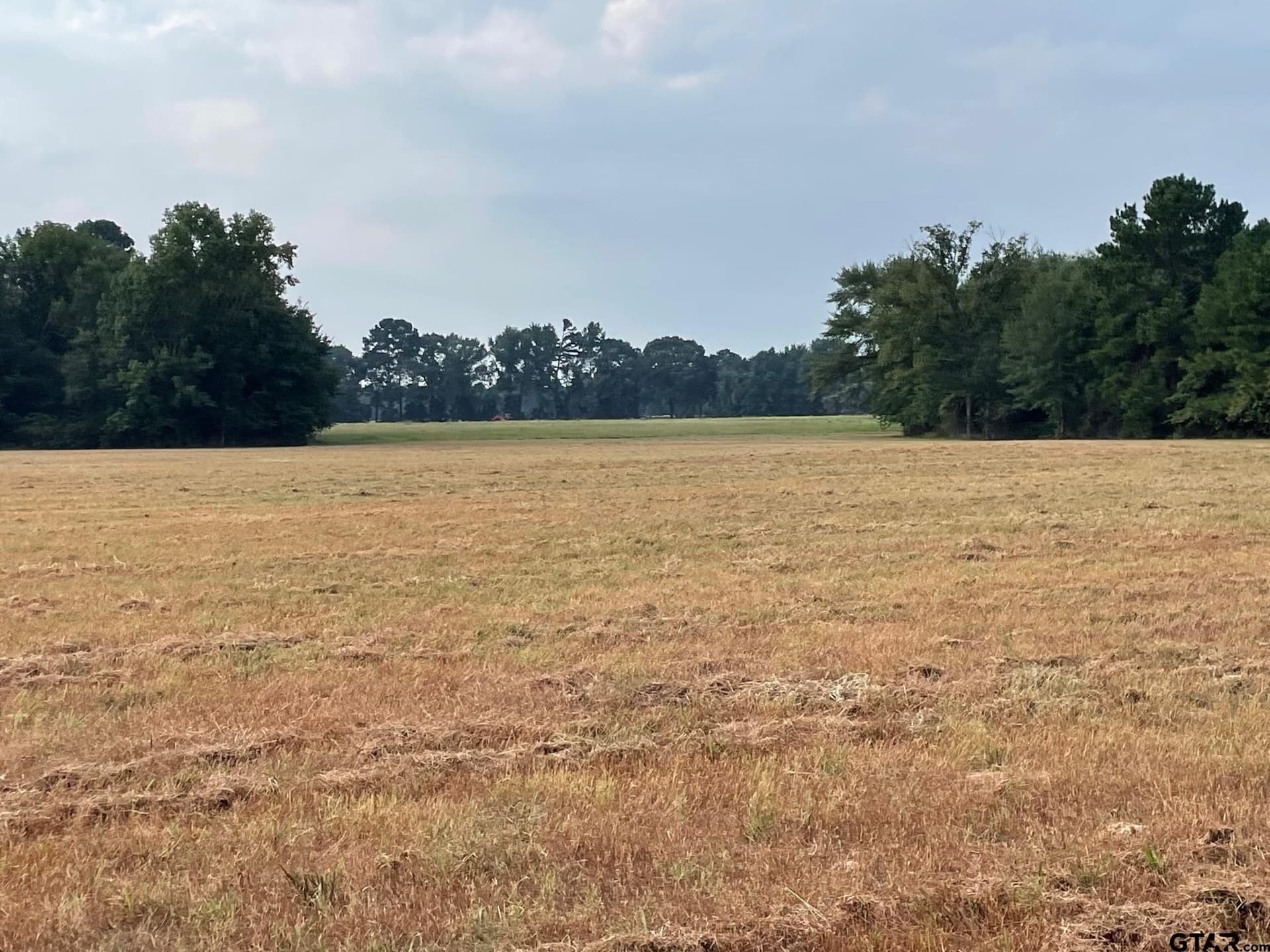 194.05 acres in Anderson County - photo 17