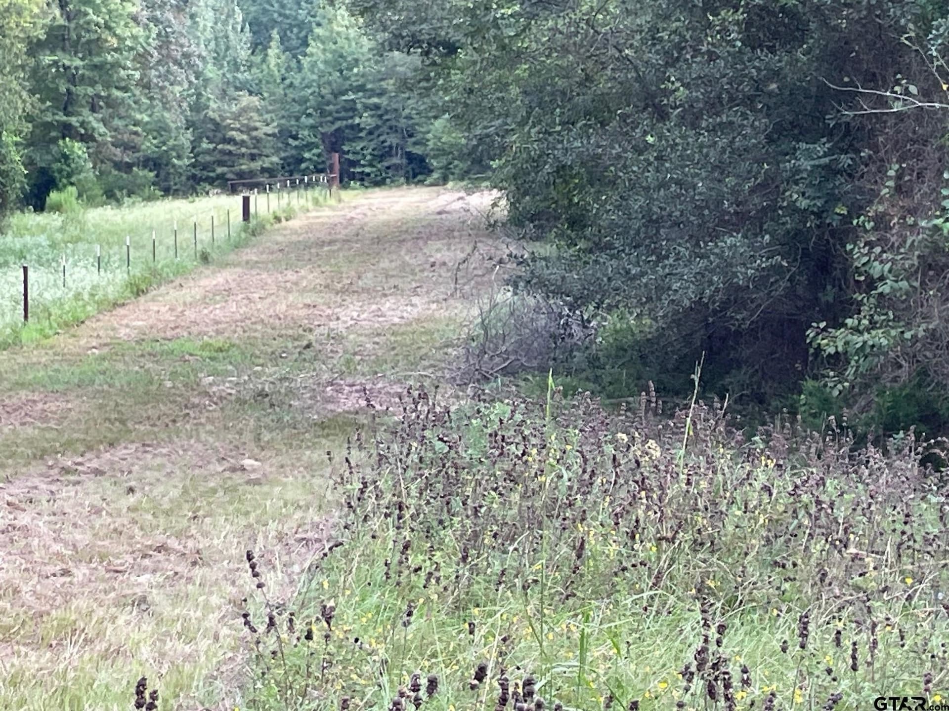 194.05 acres in Anderson County - photo 15