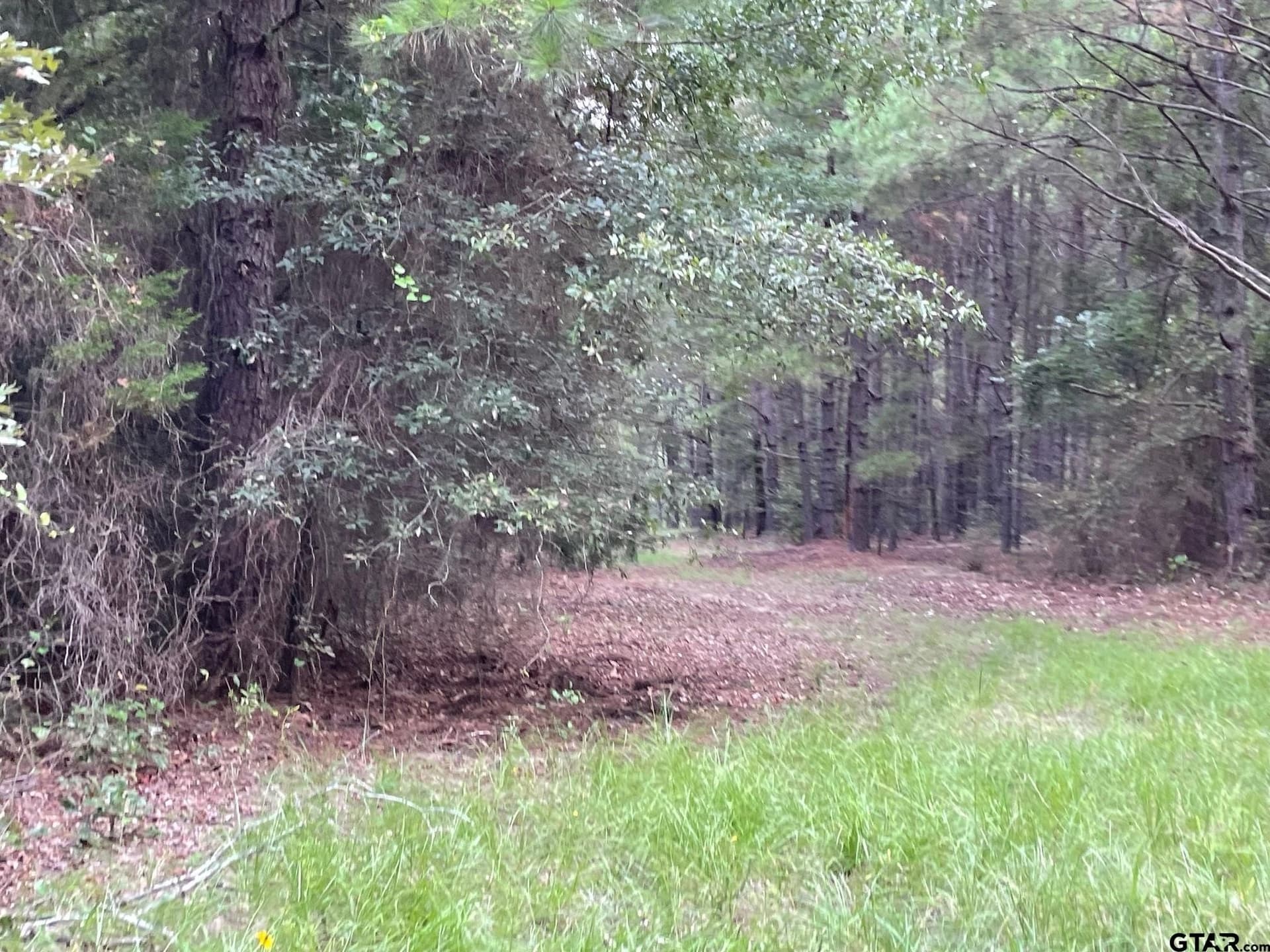 194.05 acres in Anderson County - photo 13