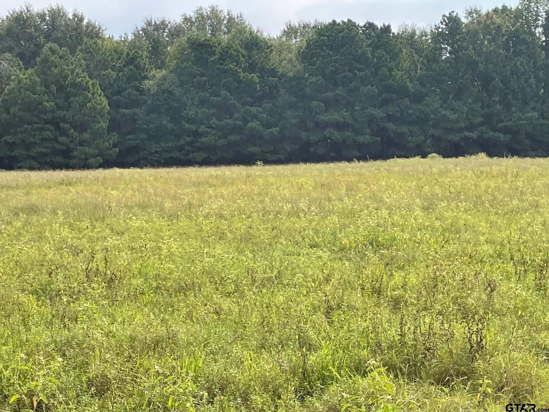 194.05 acres in Anderson County - photo 10