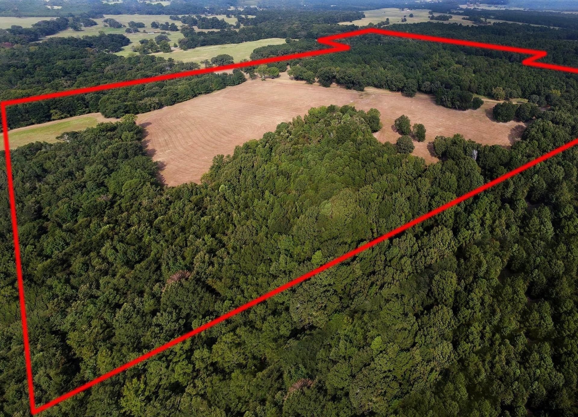 194.05 acres in Anderson County - photo 24