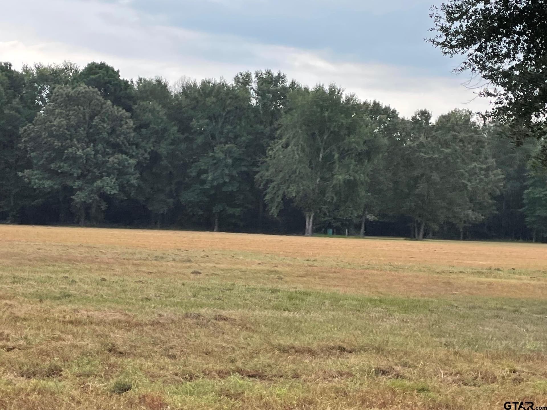 194.05 acres in Anderson County - photo 3