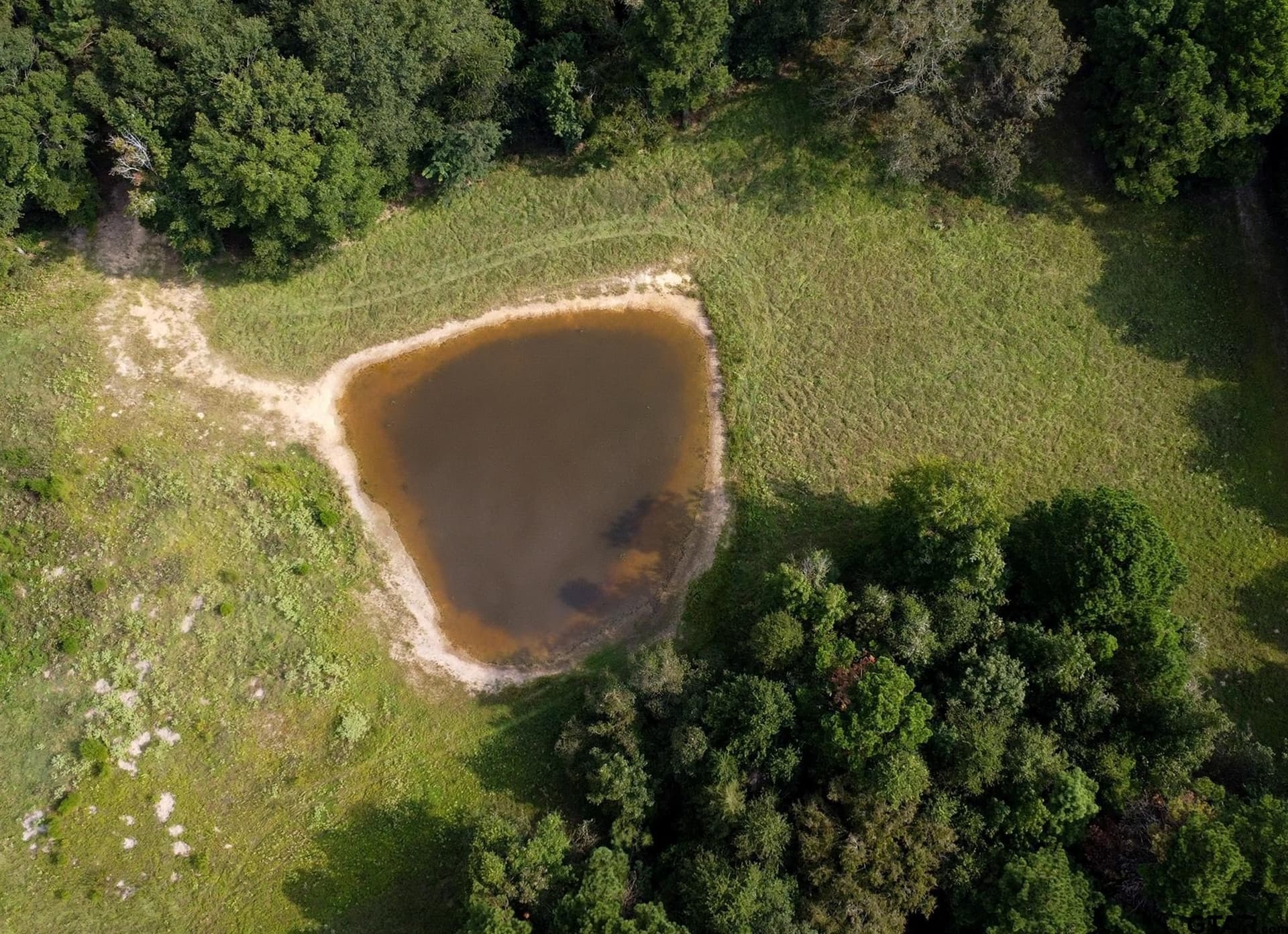 194.05 acres in Anderson County - photo 16