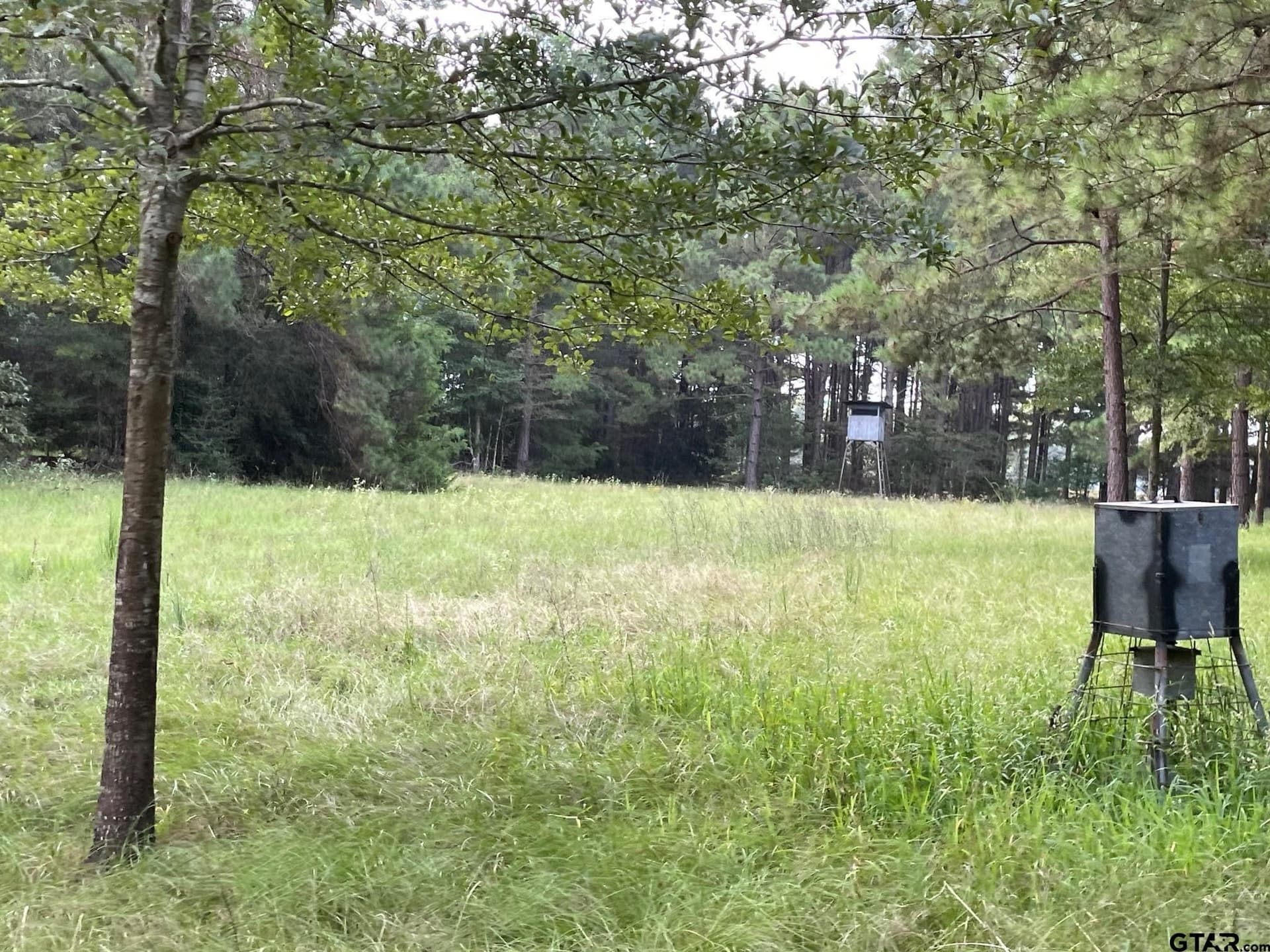 194.05 acres in Anderson County - photo 8