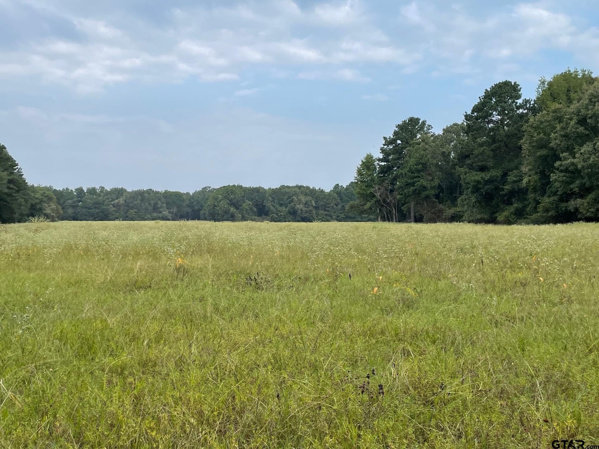 194.05 acres in Anderson County - photo 2