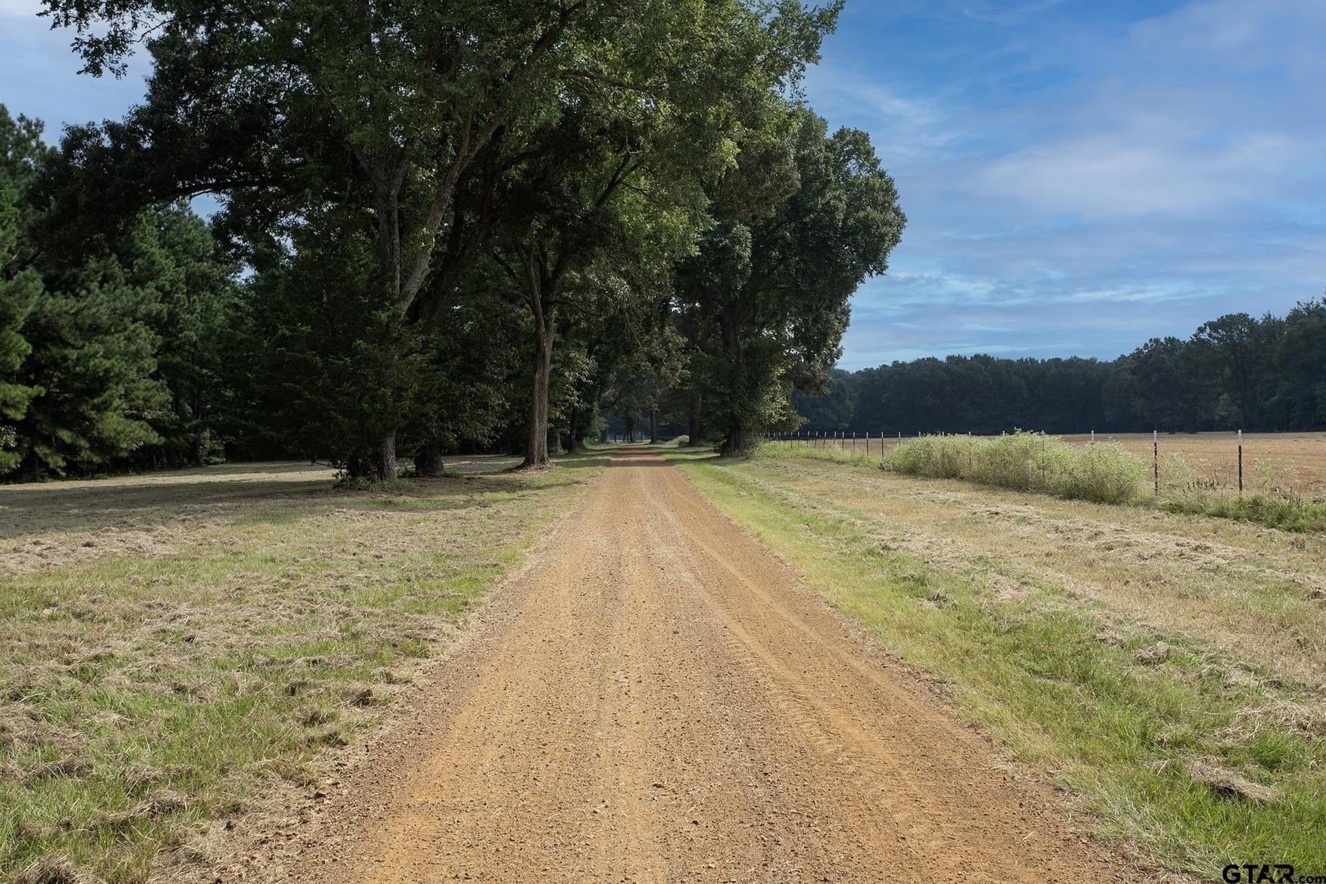 194.05 acres in Anderson County - photo 36