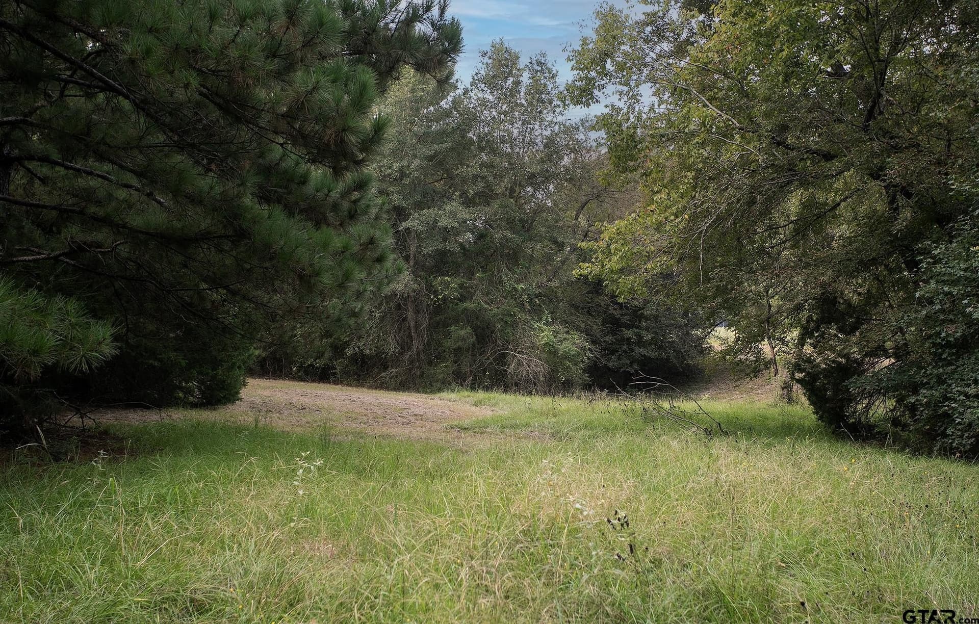 194.05 acres in Anderson County - photo 31