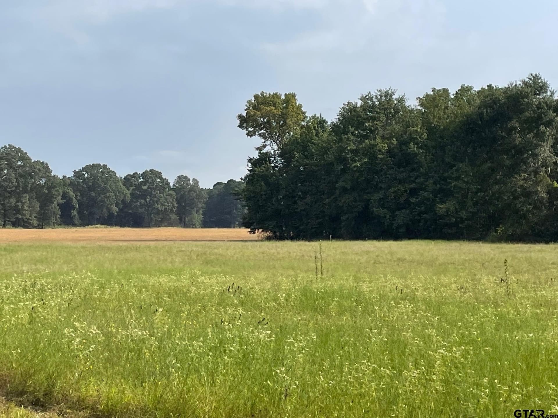 194.05 acres in Anderson County - photo 18