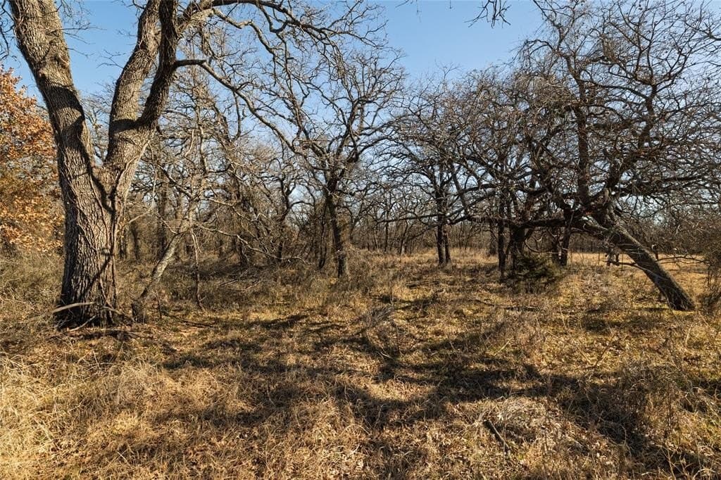 486.66 acres in Parker County - photo 10