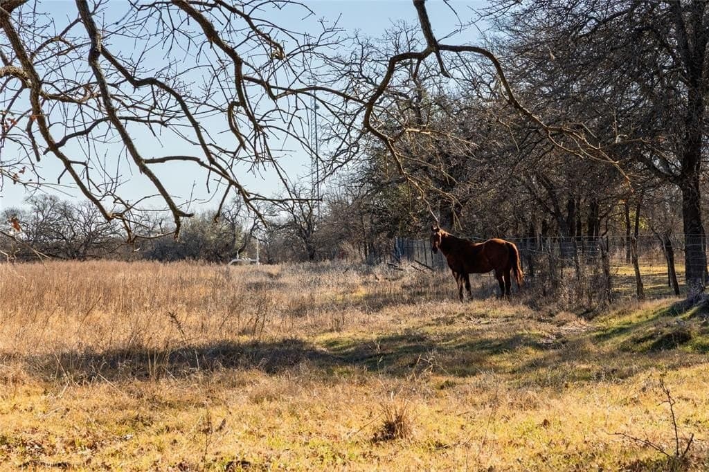 486.66 acres in Parker County - photo 6