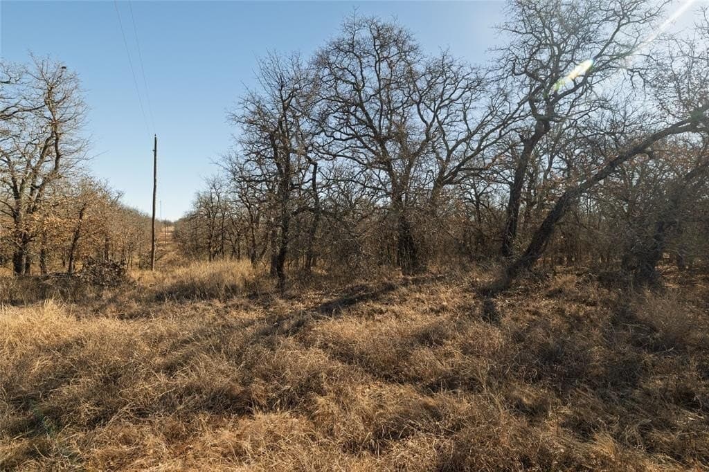 486.66 acres in Parker County - photo 11