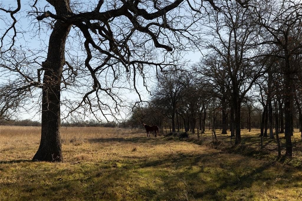 486.66 acres in Parker County - photo 5