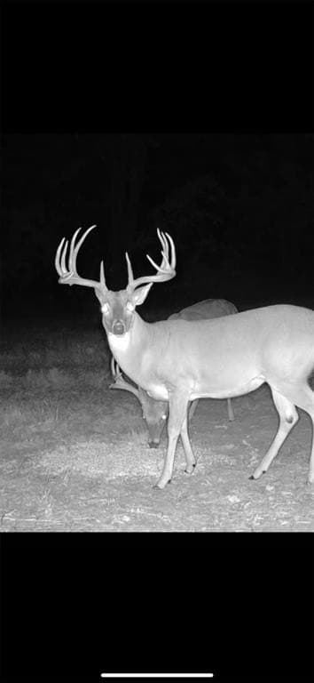 33.19 acres in Cass County - photo 11