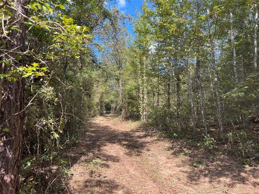 33.19 acres in Cass County - photo 8