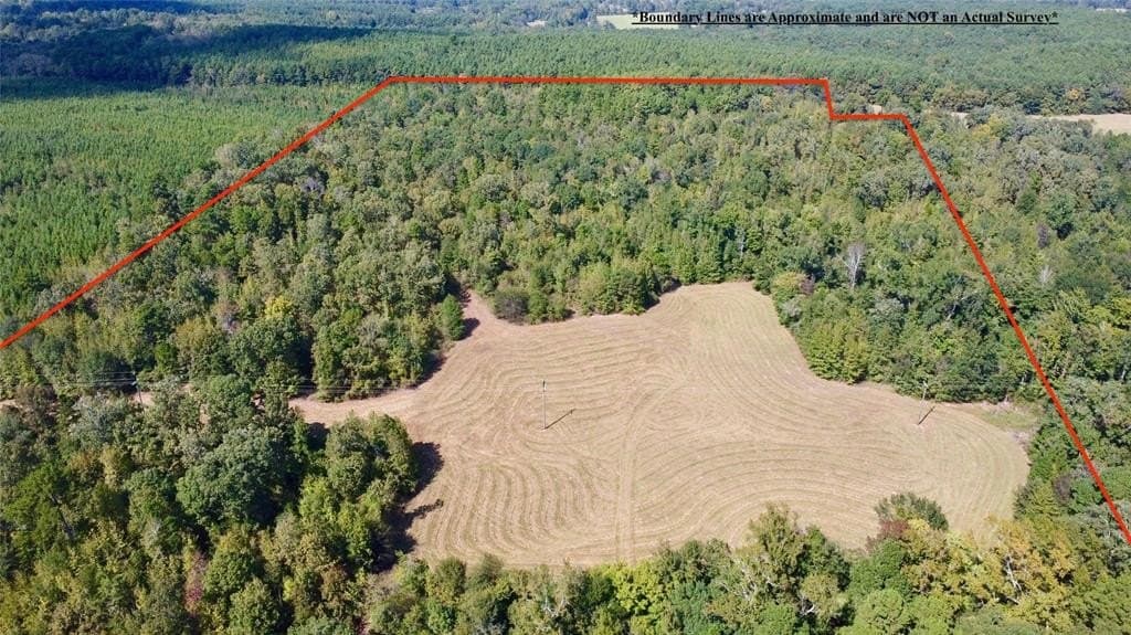 33.19 acres in Cass County - photo 2