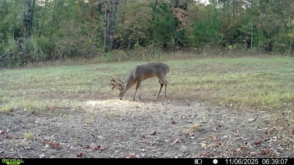 33.19 acres in Cass County - photo 18