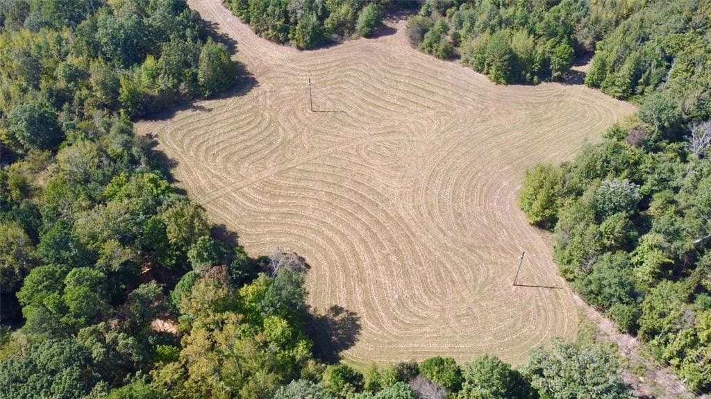 33.19 acres in Cass County - photo 3