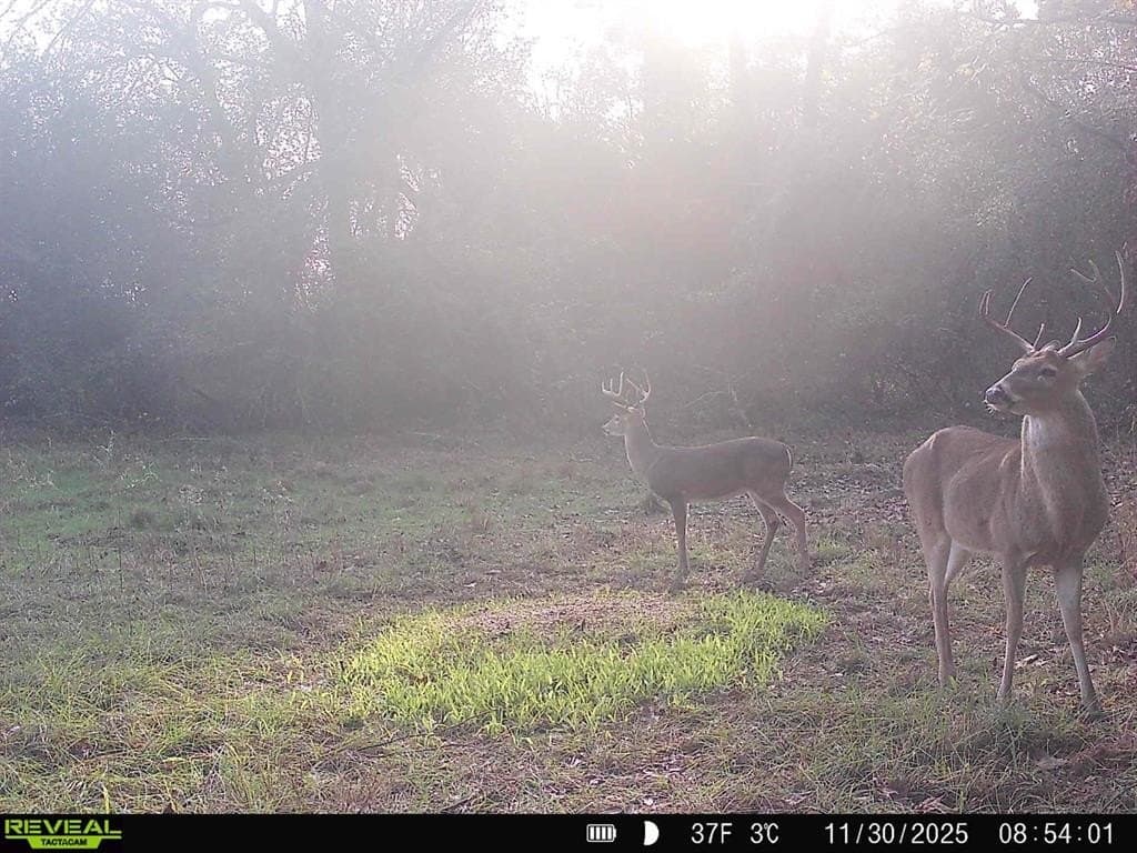 33.19 acres in Cass County - photo 21