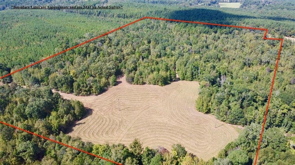 33.19 acres in Cass County - photo 4