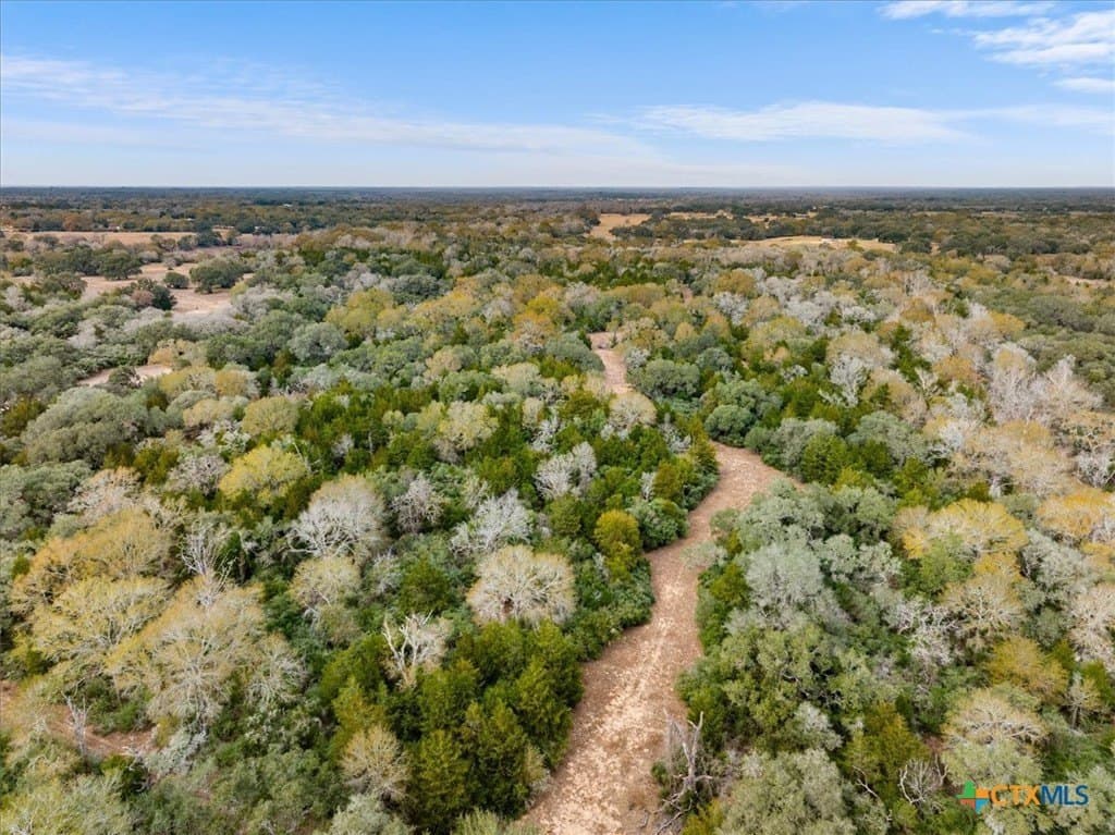 79.76 acres in Lavaca County - photo 11
