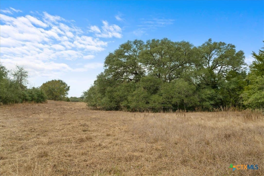 79.76 acres in Lavaca County - photo 6