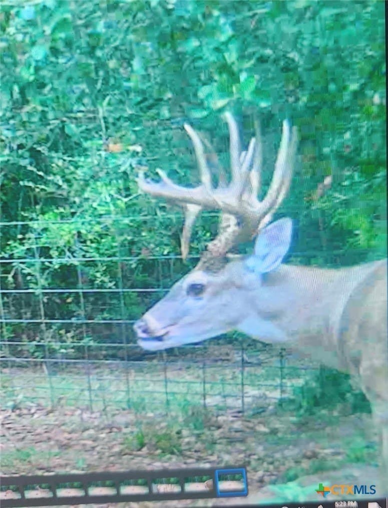 79.76 acres in Lavaca County - photo 27