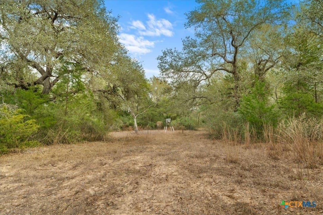 79.76 acres in Lavaca County - photo 26