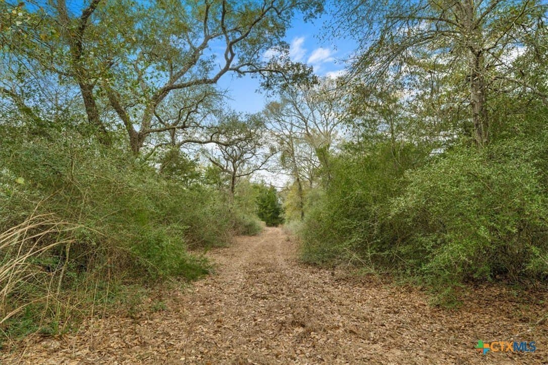79.76 acres in Lavaca County - photo 5