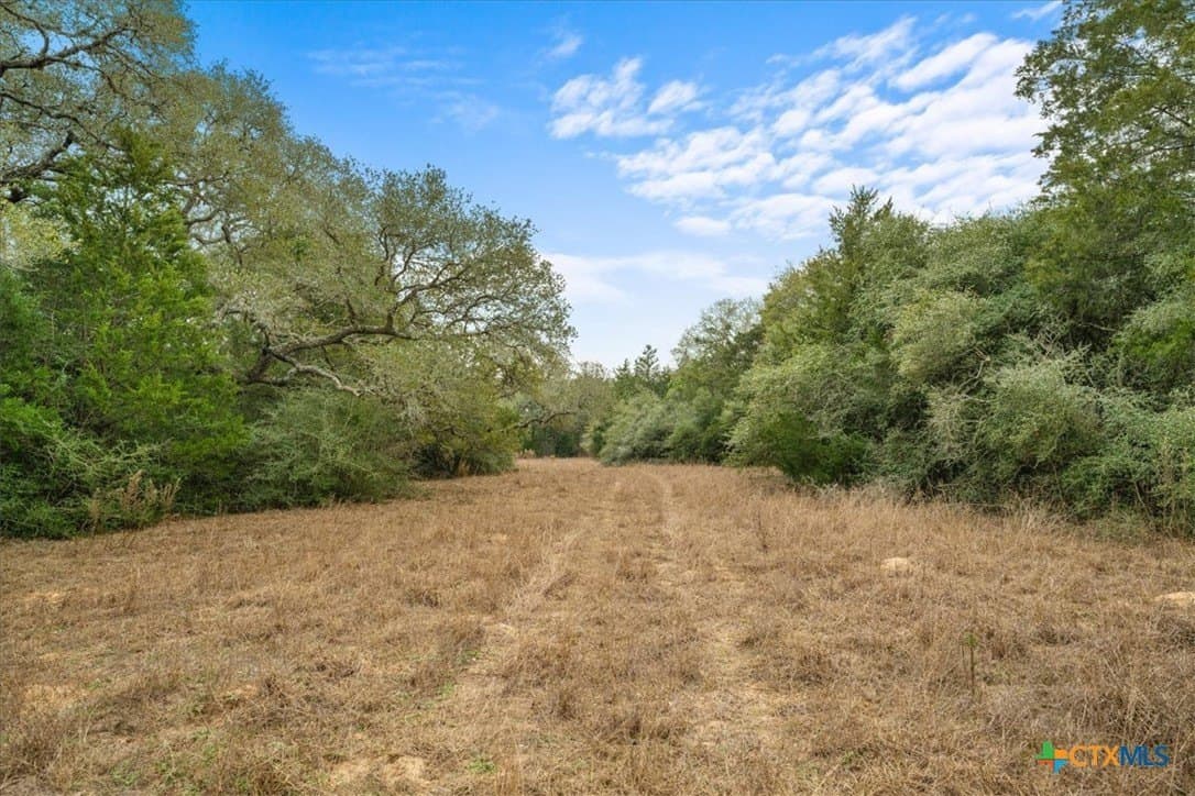 79.76 acres in Lavaca County - photo 25