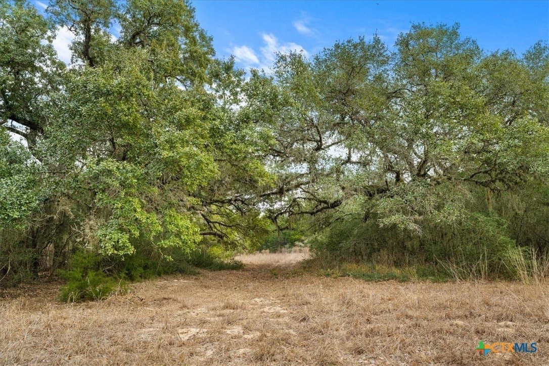 79.76 acres in Lavaca County - photo 23
